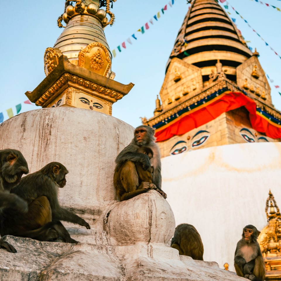 Trekking zum Everest Basislager
